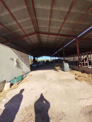 Terreno en venta en Bullas