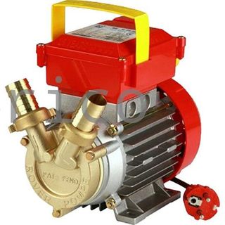 Bomba Trasvase Rover Pompe 25 CE Bronce