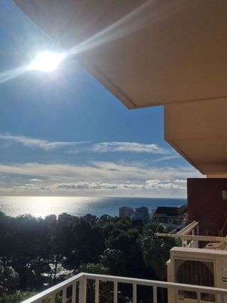 Estudio en alquiler en Parque de la Paloma en Benalmádena