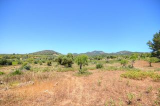 Terreno en venta en Felanitx