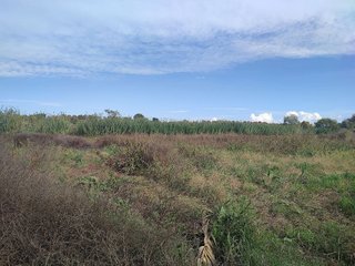 Terreno en venta en Juneda