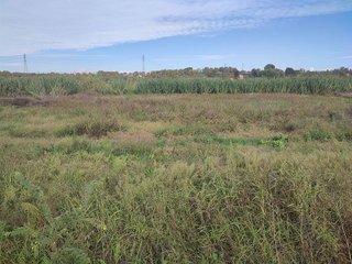 Terreno en venta en Juneda