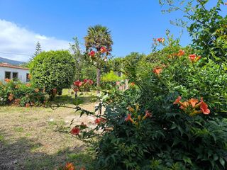 Casa rural en venta en Ortigueira