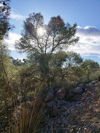 Solar en venta en La Collada - Sis Camins - Fondo Somella - Santa Maria en Vilanova i La Geltrú