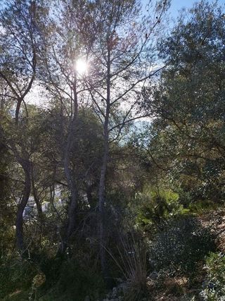 Solar en venta en La Collada - Sis Camins - Fondo Somella - Santa Maria en Vilanova i La Geltrú