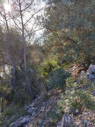 Solar en venta en La Collada - Sis Camins - Fondo Somella - Santa Maria en Vilanova i La Geltrú