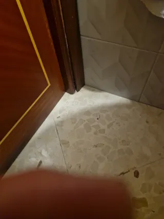 Picadora de carne profesional