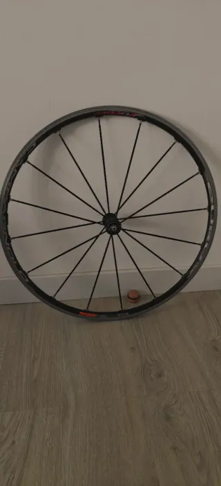 Ruedas Campagnolo Eurus