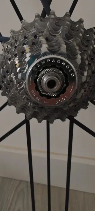 Ruedas Campagnolo Eurus