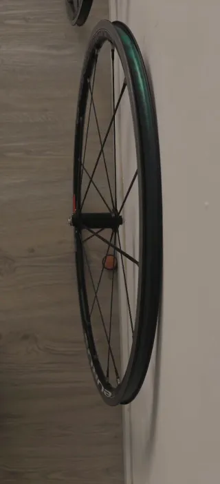 Ruedas Campagnolo Eurus