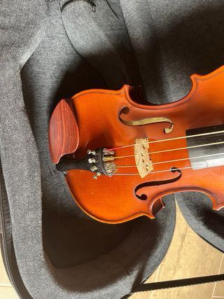 Viola Gunter K 13 (34 cm)