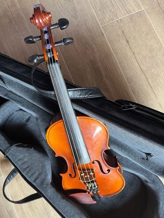 Viola Gunter K 13 (34 cm)