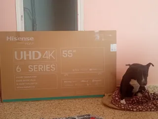 TV Hisense 55 UHD 4K 6 Series pantalla nose ilumin