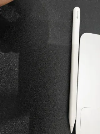 Apple Pencil USB-C para iPad