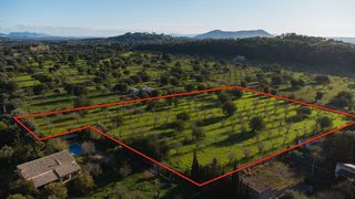 Solar en venta en Selva