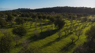 Solar en venta en Selva