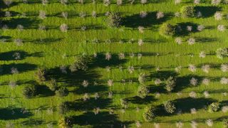 Solar en venta en Selva