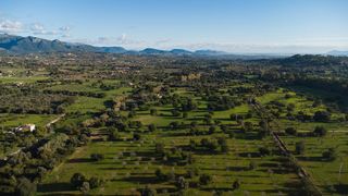 Solar en venta en Selva