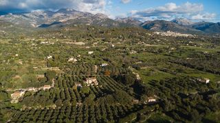 Solar en venta en Selva