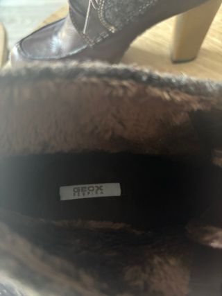 Botines Geox Marrones Mujer