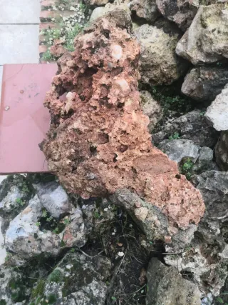 Rocalla acuario , terrario o estanque