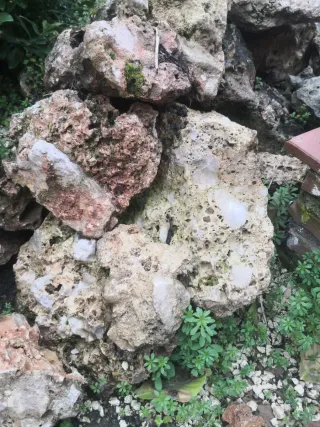 Rocalla acuario , terrario o estanque