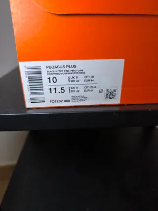 Nike Pegasus Plus T44 running