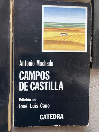Cuatro. Libros de la colección “cátedra”