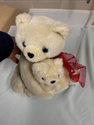 Orsetto peluche madre e figlio