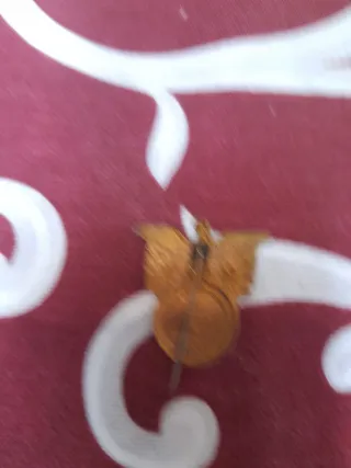 Distintivo militare aquila