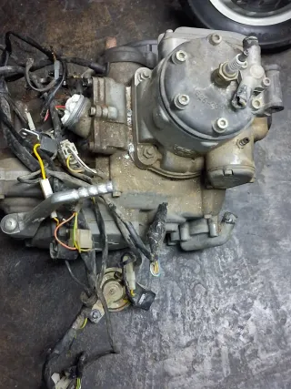 Motor Gas Gas EC 250/300 Enduro