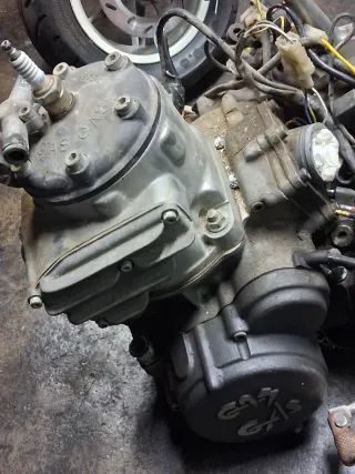 Motor Gas Gas EC 250/300 Enduro