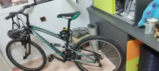 Bicicleta de montaña