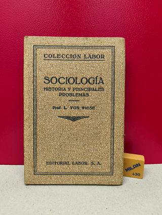 Sociología. Historia y principales problemas