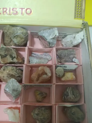 Colección de Fósiles