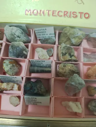 Colección de Fósiles