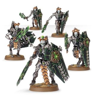 Necron Lichguard x10
