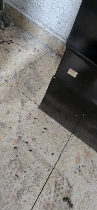 Panel Puerta Peugeot 206