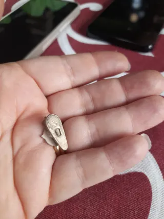 Spilla Federazione Motociclisti