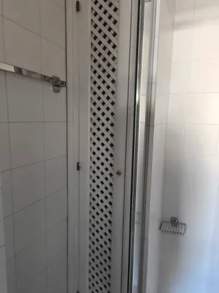 Puerta armario baño 30x200cm