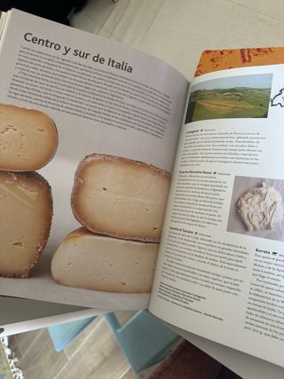 Los mejores quesos artesanos del mundo: Un reco...