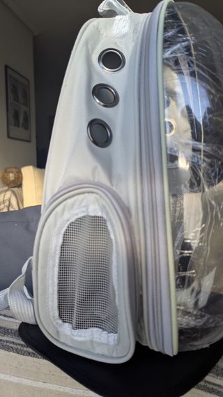 Mochila transportin transparente gatos