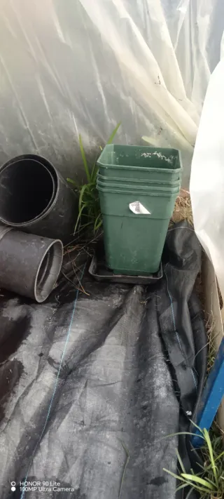 macetas de plástico marrones