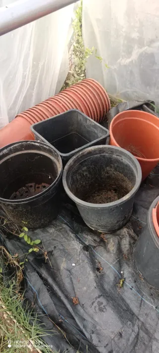 macetas de plástico marrones