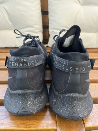 Nike Trail Pegasus GTX Negro 44