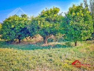 Casa rural en venta en El Higuerón en Córdoba