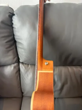 Guitarra Alhambra Nature CT EZ