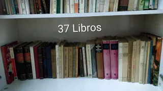 Lote libros antiguos S. XIX y XX coleccionistas