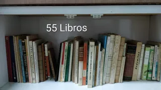 Lote libros antiguos S. XIX y XX coleccionistas