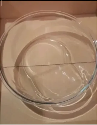 Cristal Puerta Lavadora